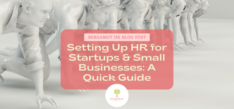 Setting Up HR for Startups and Small Businesses: A Quick Guide